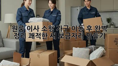 원룸 이사, 소형 가구 이동 후 완벽 정리! 쾌적한 새 보금자리 만들기