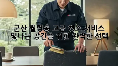 군산 월명동 고급 청소 서비스: 빛나는 공간을 위한 완벽한 선택